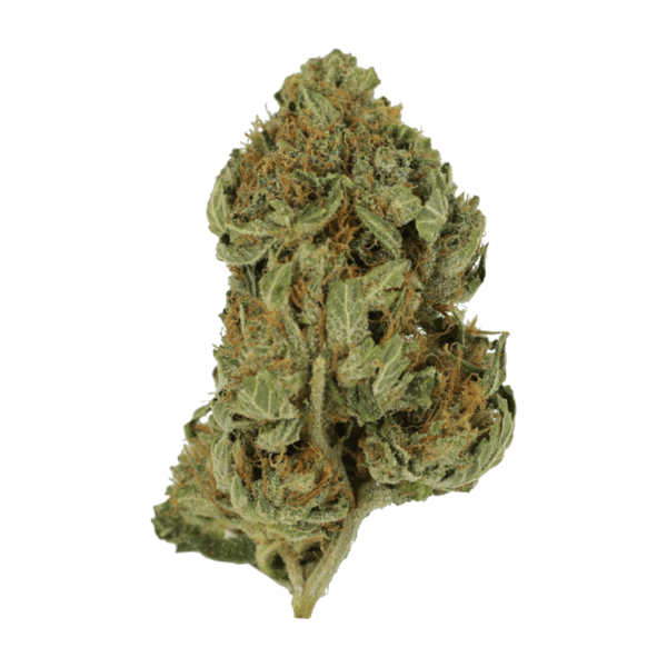 Bubblegum – 1 ounce | CannaCured Canada