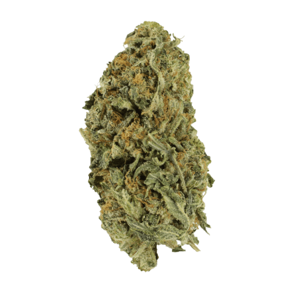 Black Gorilla | CannaCured Canada