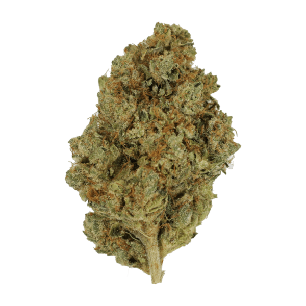 Nepalese | CannaCured Canada