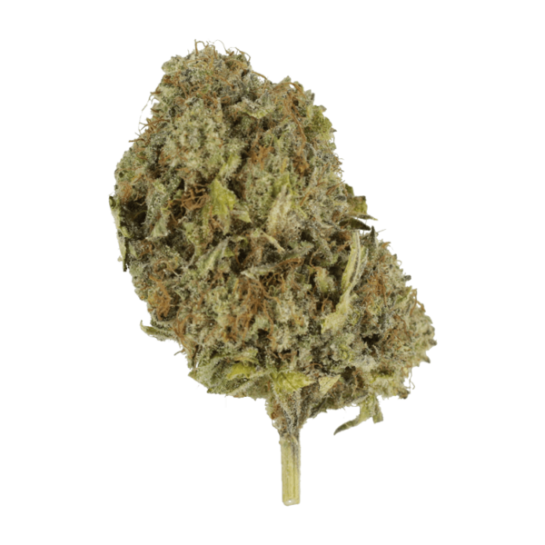 God’s Green Crack | CannaCured Canada