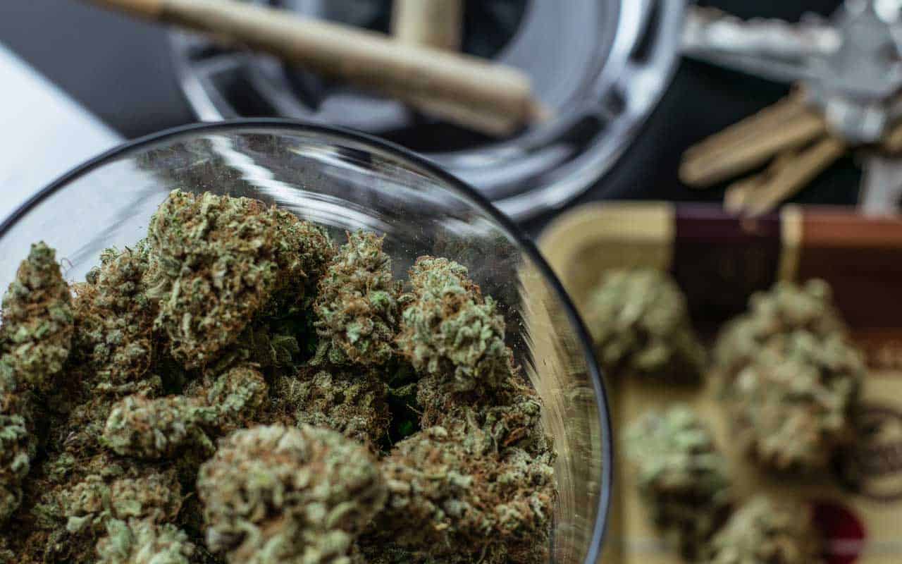 Premium cannabis vs Affordable Weed | CannaCured Canada