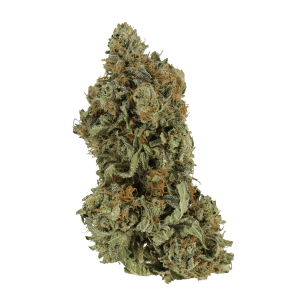 Bruce Banner #3 | CannaCured Canada