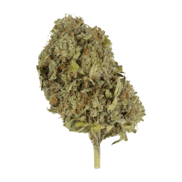 Chemo | CannaCured Canada
