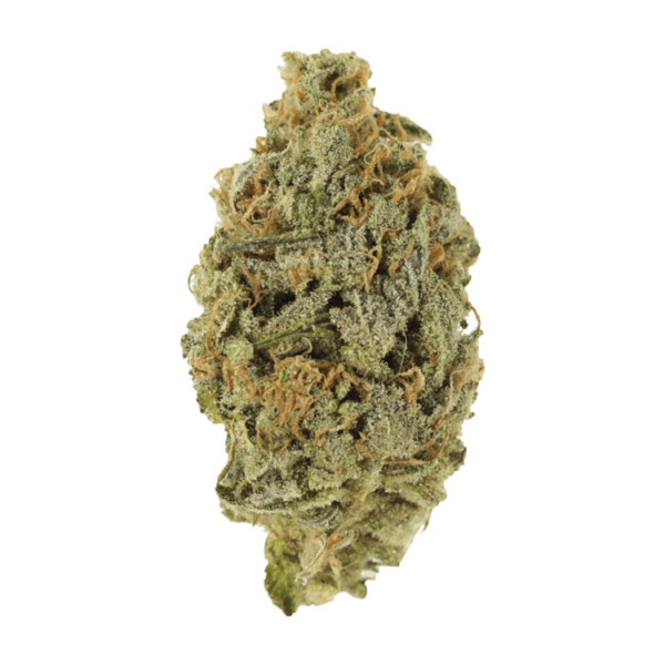 Lavender | CannaCured Canada