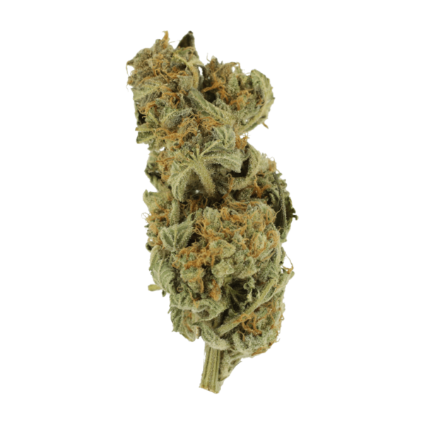 Gorilla Glue | CannaCured Canada