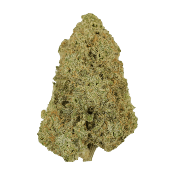 Super Silver Haze | CannaCured Canada