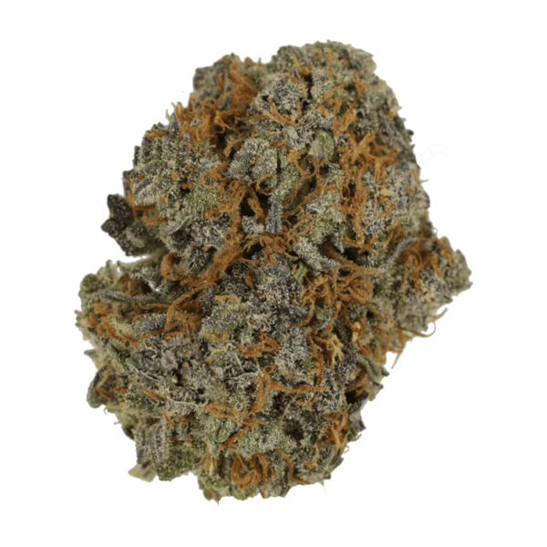 Jack Herer 1 Ounce | CannaCured Canada