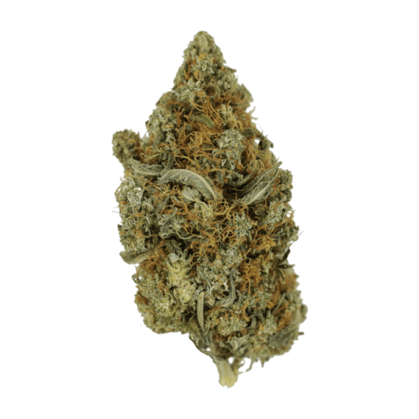 Jack Herer 1 Ounce | CannaCured Canada