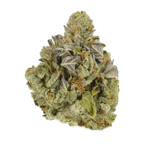 Jet Fuel | CannaCured Canada