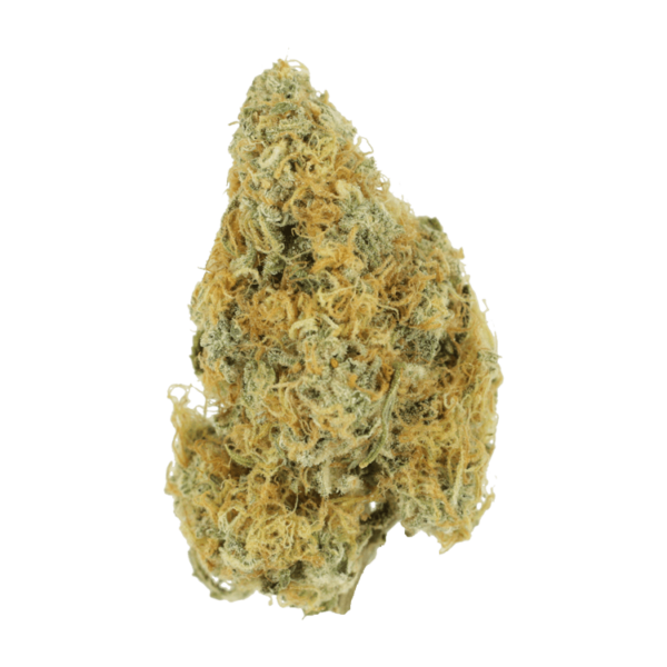 Alien OG (Popcorn) – 2OZ/$69 | CannaCured Canada