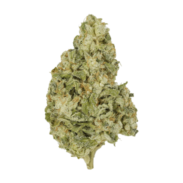 Zombie OG | CannaCured Canada