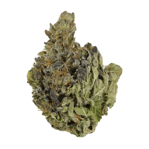 Chocolope | CannaCured Canada