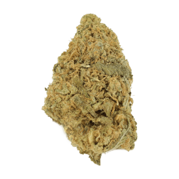 Zombie OG | CannaCured Canada