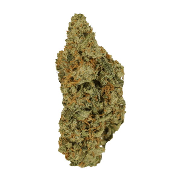 Mimosa | CannaCured Canada