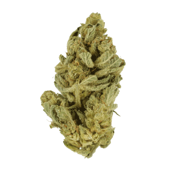 Hindu Kush – 7g | CannaCured Canada