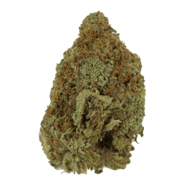 Mango Haze | CannaCured Canada