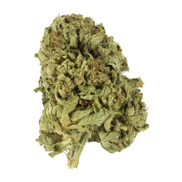 Sour Diesel | CannaCured Canada