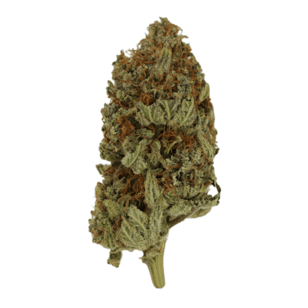 Congo | CannaCured Canada