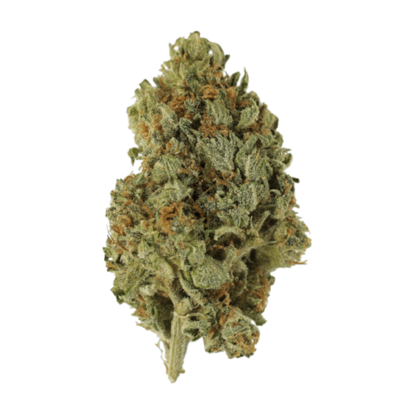 Sugar Cookies | CannaCured Canada