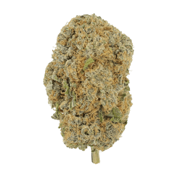 Pine Tar - | CannaCured Canada