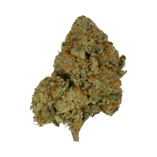 9lb Hammer | CannaCured Canada