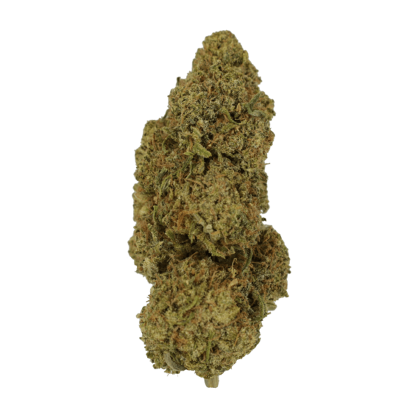9lb Hammer | CannaCured Canada