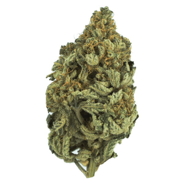Bakerstreet | CannaCured Canada