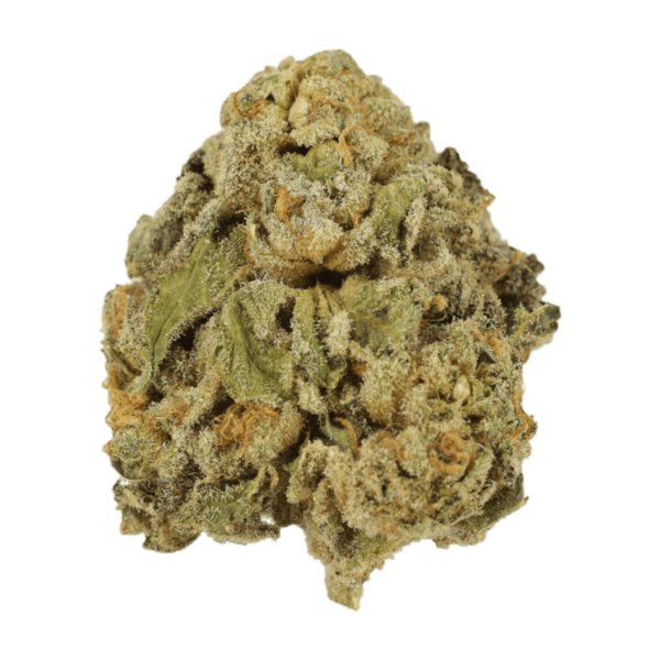 Maui Wowie | CannaCured Canada
