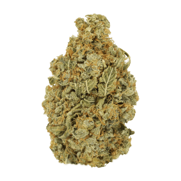 Maui Wowie | CannaCured Canada