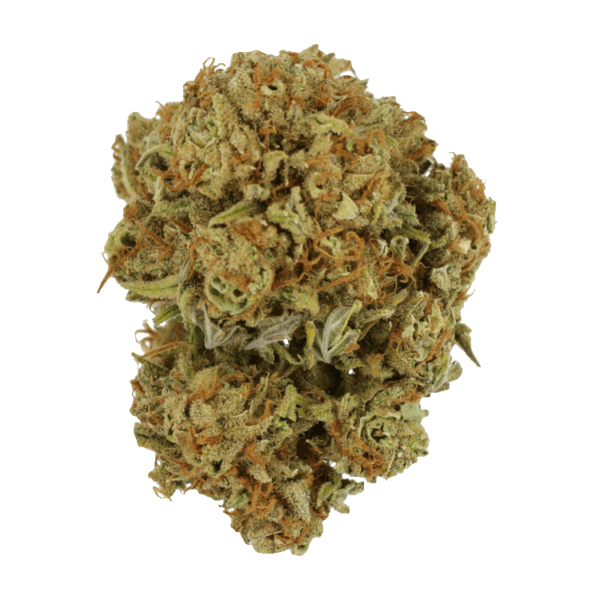 Maui Wowie | CannaCured Canada