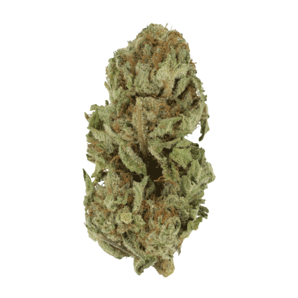 Golden Goat | CannaCured Canada