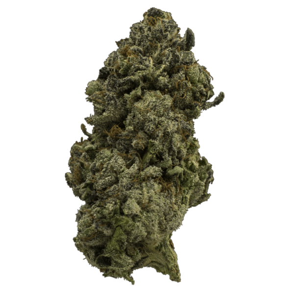 Fire Alien Urkle | CannaCured Canada