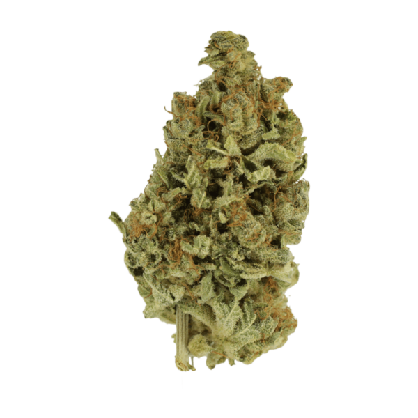 Cali Gold | CannaCured Canada