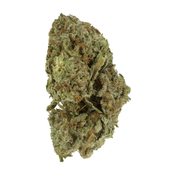 Gelato Sorbet – 1 ounce | CannaCured Canada