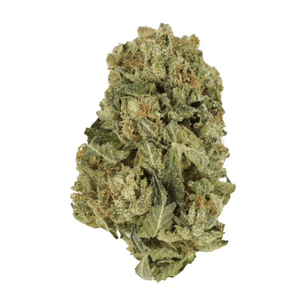 Black Domina | CannaCured Canada