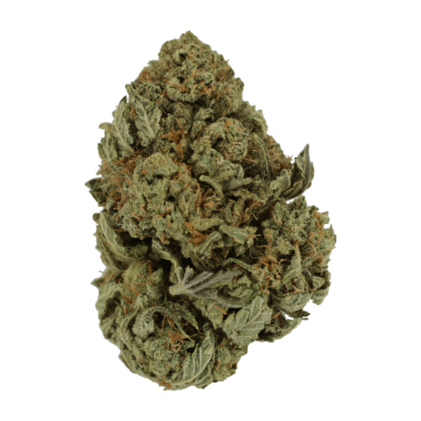 Master Kush Ultra | CannaCured Canada