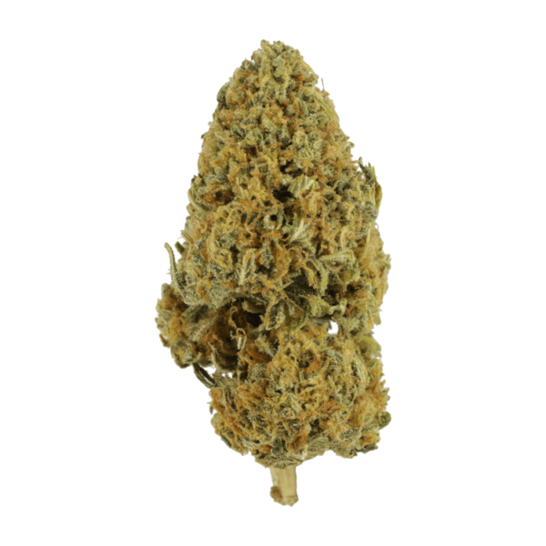 Grapefruit – 1 ounce | CannaCured Canada