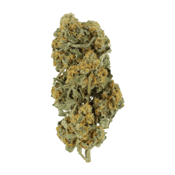 Miracle Alien Cookies | CannaCured Canada
