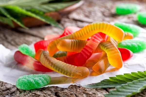 MOTA Edibles Bundles – SAVE 10% | CannaCured Canada