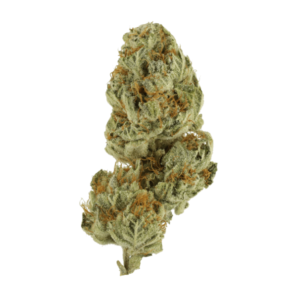 Strawberry Glue | CannaCured Canada