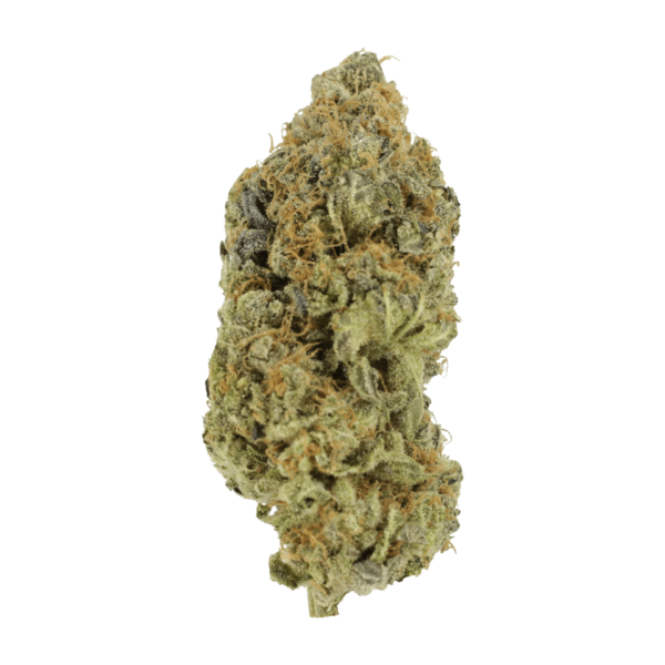 Critical Widow | CannaCured Canada