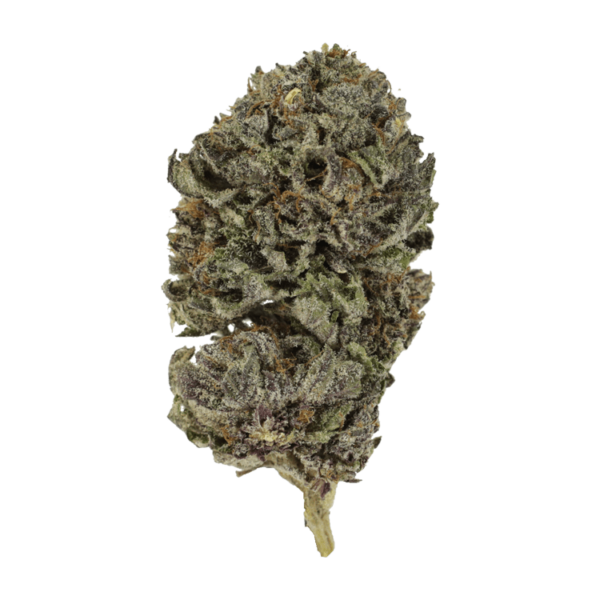 Purple Skunk | CannaCured Canada