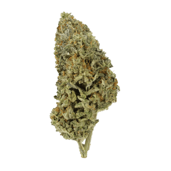 Super Silver Sour Diesel | CannaCured Canada