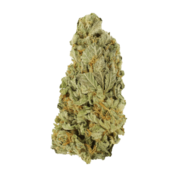 Green Congo | CannaCured Canada