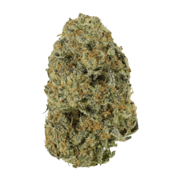Northern Haze Express | CannaCured Canada