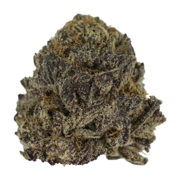 Hawaiian Snow | CannaCured Canada