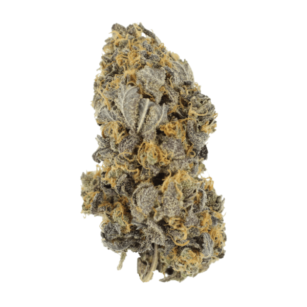 Mcgrupp | CannaCured Canada