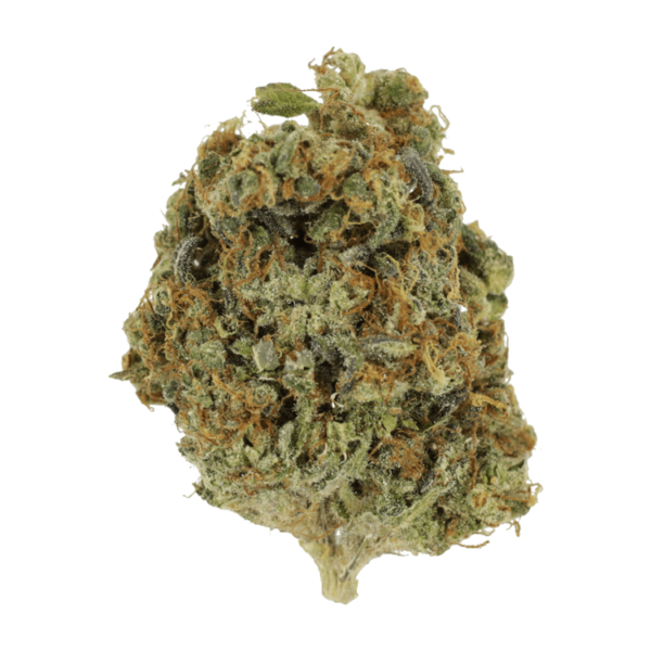 Sunset Sherbert | CannaCured Canada
