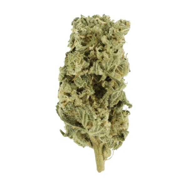 Romulan Hashplant | CannaCured Canada