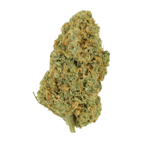 Lemon Bomb | CannaCured Canada